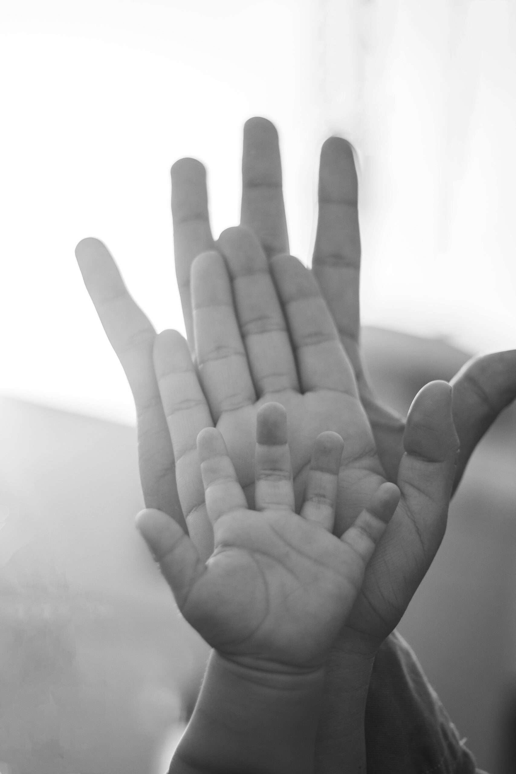 Black and white image of family hands symbolizing unity and generational ties.